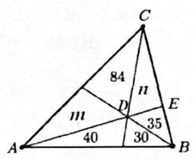 bo_d3hogrs601uc738jb4p0_17_1118_607_388_319_0.jpg