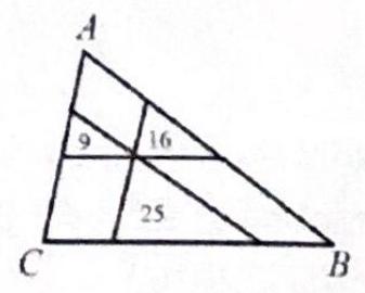 bo_d3hogrs601uc738jb4p0_20_1034_1843_337_270_0.jpg