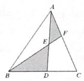 bo_d3hogrs601uc738jb4p0_22_1121_1753_289_278_0.jpg