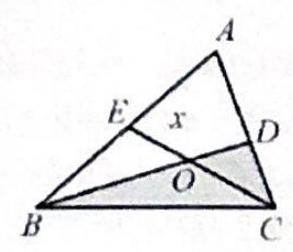 bo_d3hogrs601uc738jb4p0_32_1109_1787_293_252_0.jpg