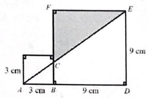 bo_d3hogrs601uc738jb4p0_4_1111_1843_489_323_0.jpg