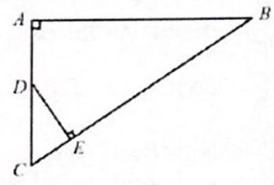 bo_d3hogrs601uc738jb4p0_4_1163_553_399_270_0.jpg