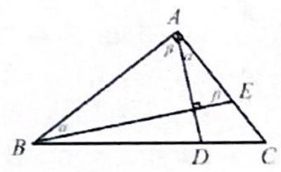 bo_d3hogrs601uc738jb4p0_7_1178_793_399_244_0.jpg