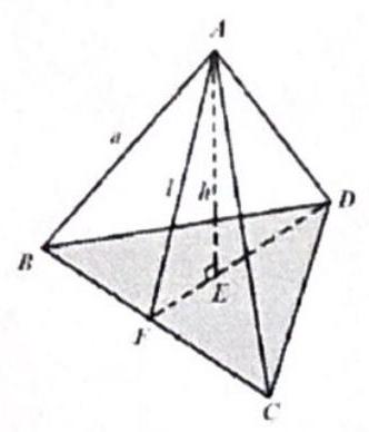 bo_d3hqu64601uc738jbl1g_31_1285_1264_332_388_0.jpg