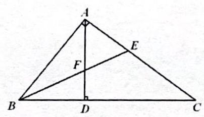 bo_d3hqngs601uc738jbifg_21_1123_423_404_232_0.jpg