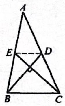 bo_d3hqngs601uc738jbifg_4_1300_1304_225_363_0.jpg