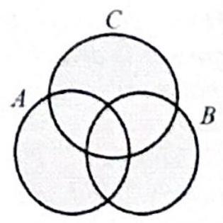 bo_d3hpkic601uc738jbcjg_1_1143_1753_315_315_0.jpg